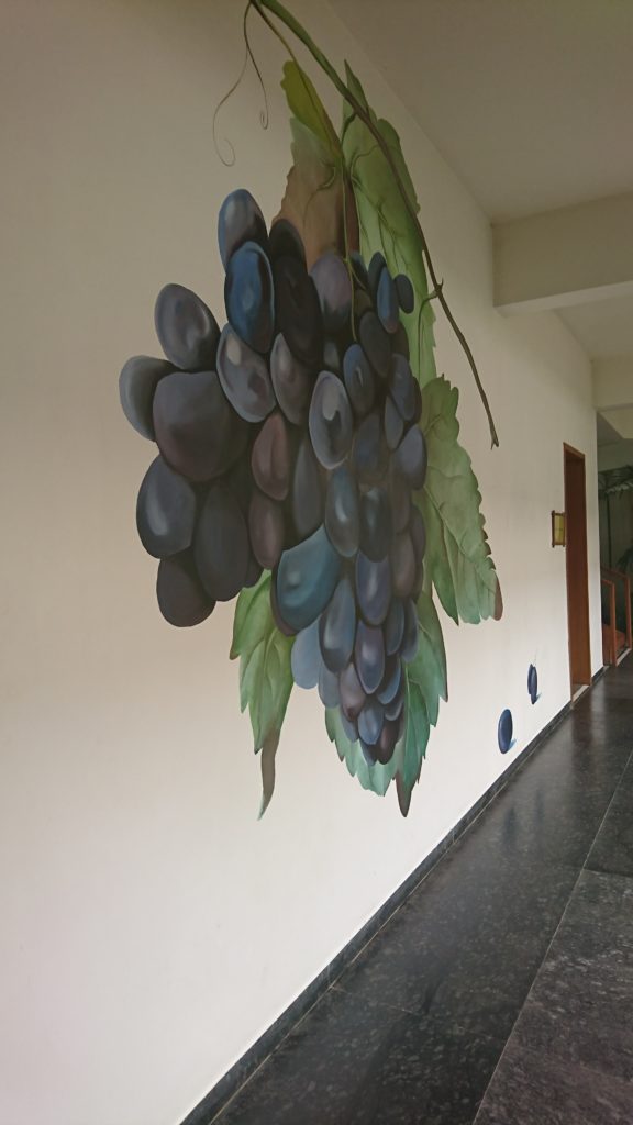 Guide to the only boutique winery of India - Soma Vine Village Guide to the only boutique winery of India - Soma Vine Village