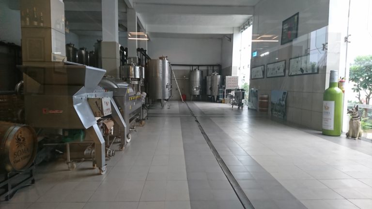 Guide to the only boutique winery of India - Soma Vine Village Guide to the only boutique winery of India - Soma Vine Village