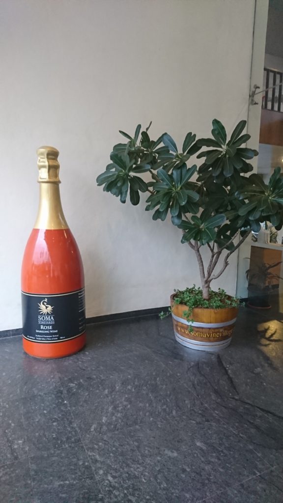 Guide to the only boutique winery of India - Soma Vine Village Guide to the only boutique winery of India - Soma Vine Village