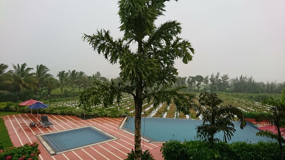 Guide to the only boutique winery of India - Soma Vine Village