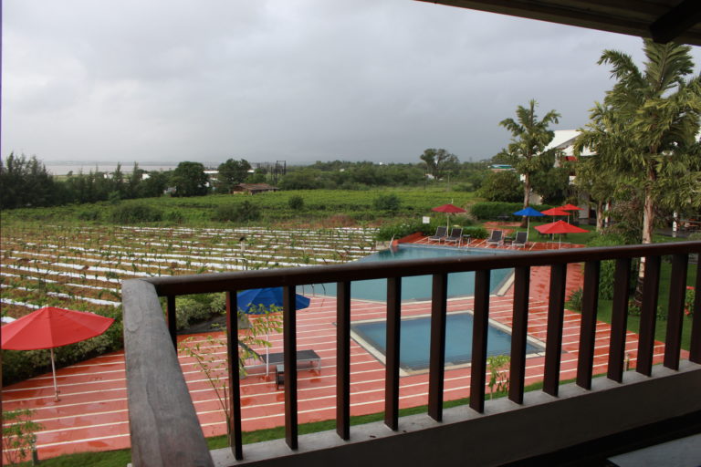 Guide to the only boutique winery of India - Soma Vine Village Guide to the only boutique winery of India - Soma Vine Village