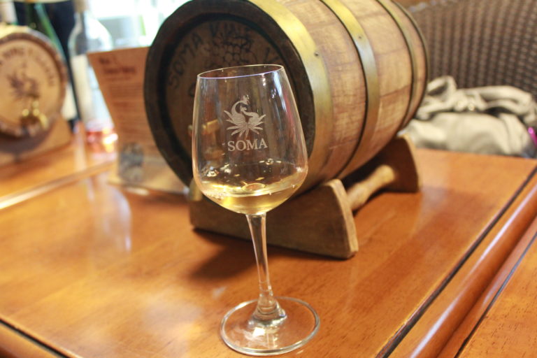 Guide to the only boutique winery of India - Soma Vine Village Guide to the only boutique winery of India - Soma Vine Village