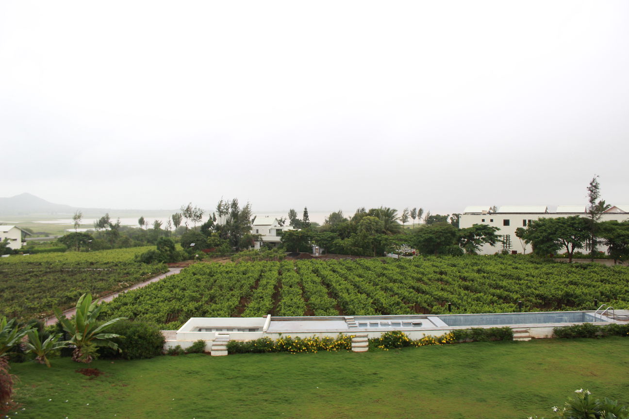 Guide to the only boutique winery of India - Soma Vine Village