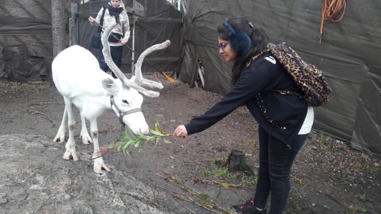 Rovaniemi: Happiest Destination of Finland