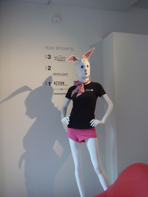 museum of sex nyc
