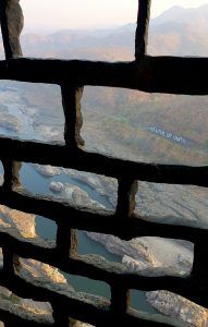 Viewing Gallery