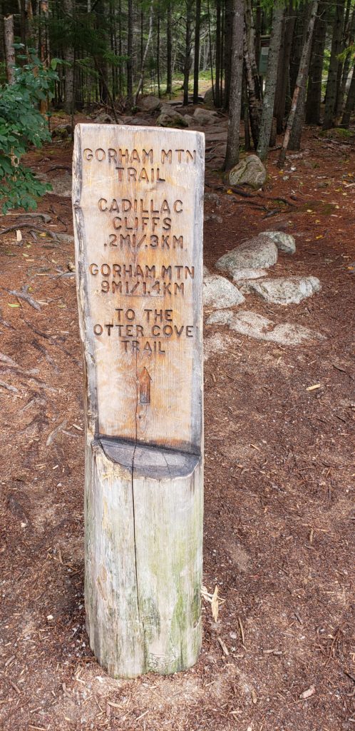 how to spend a day in acadia national park