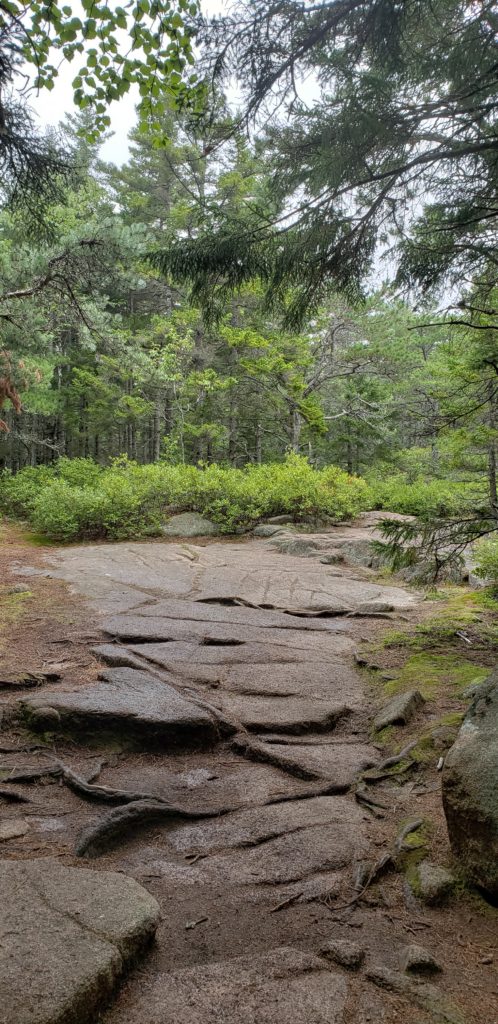how to spend a day in acadia national park