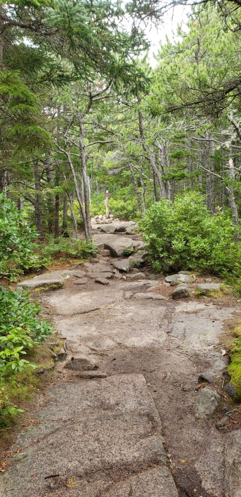 how to spend a day in acadia national park