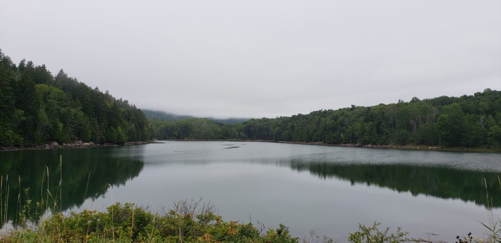 otter cove