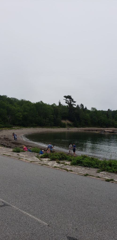 otter cove