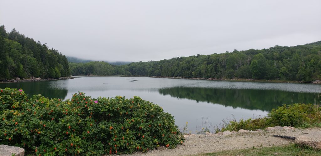 how to spend a day in acadia national park