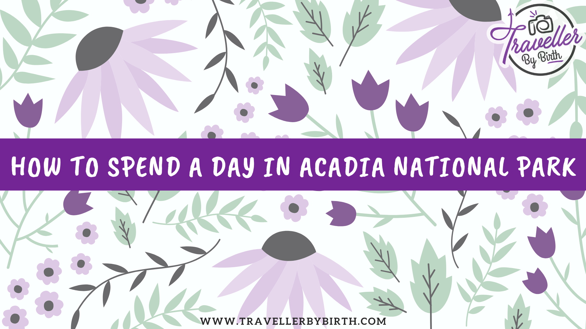 how to spend a day in acadia national park