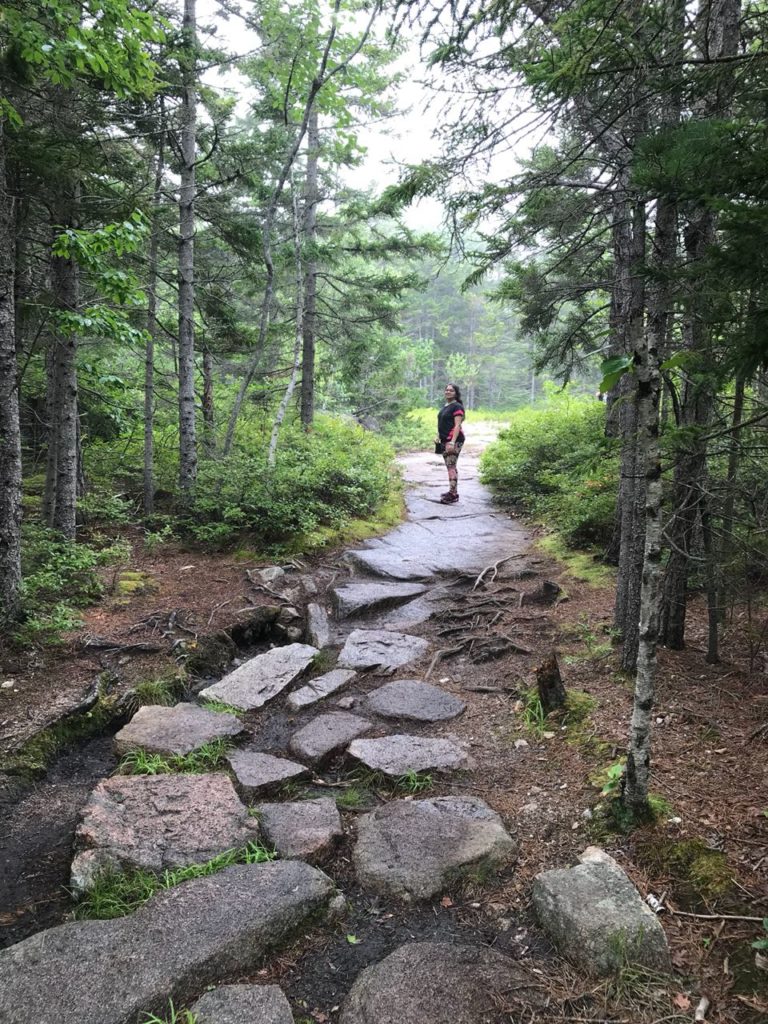 hiking at acadia national park