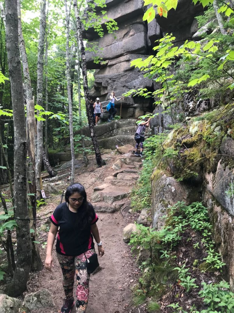 how to spend a day in acadia national park