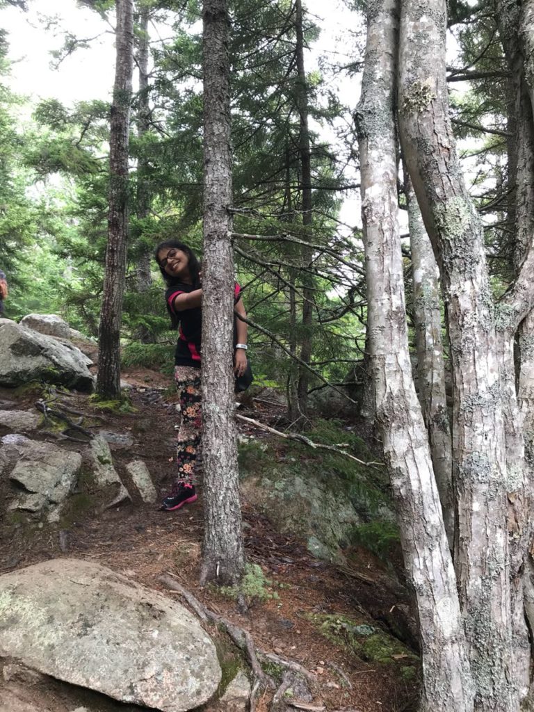hiking at acadia national park